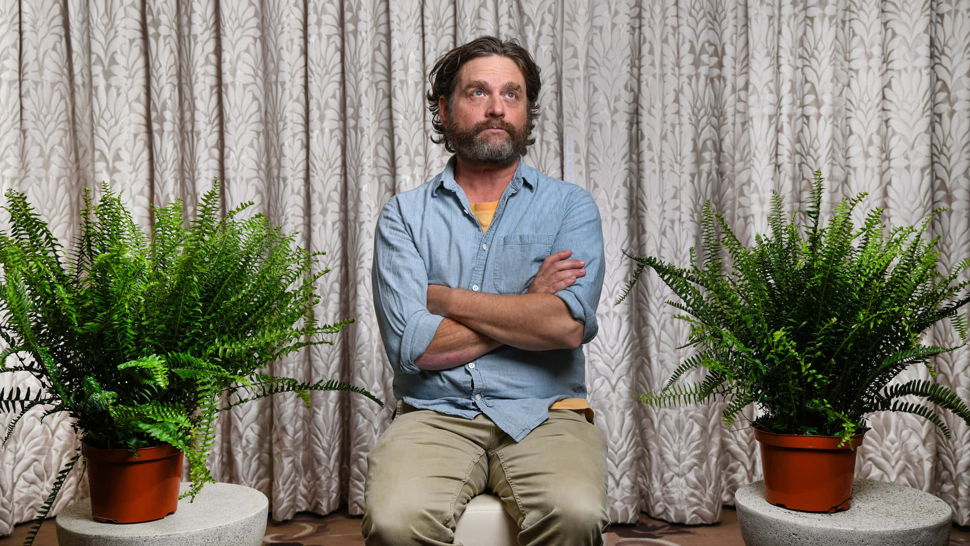 Zach Galifianakis In His Most Iconic Role Background