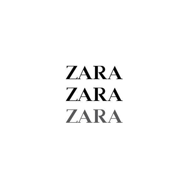 Zara Company Logo Art Background