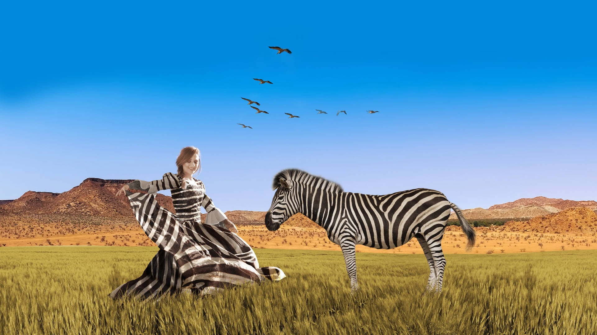 Zebra And A Woman Background