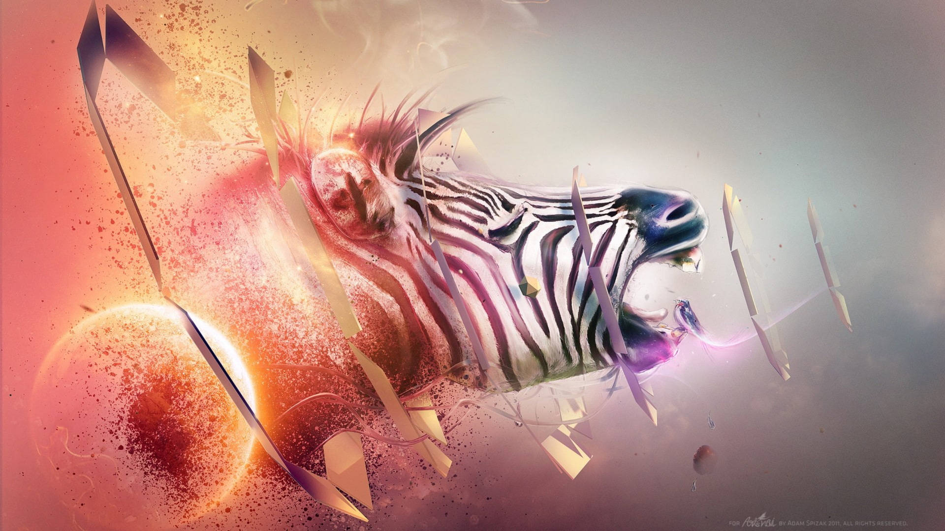 Zebra Digital Art Background