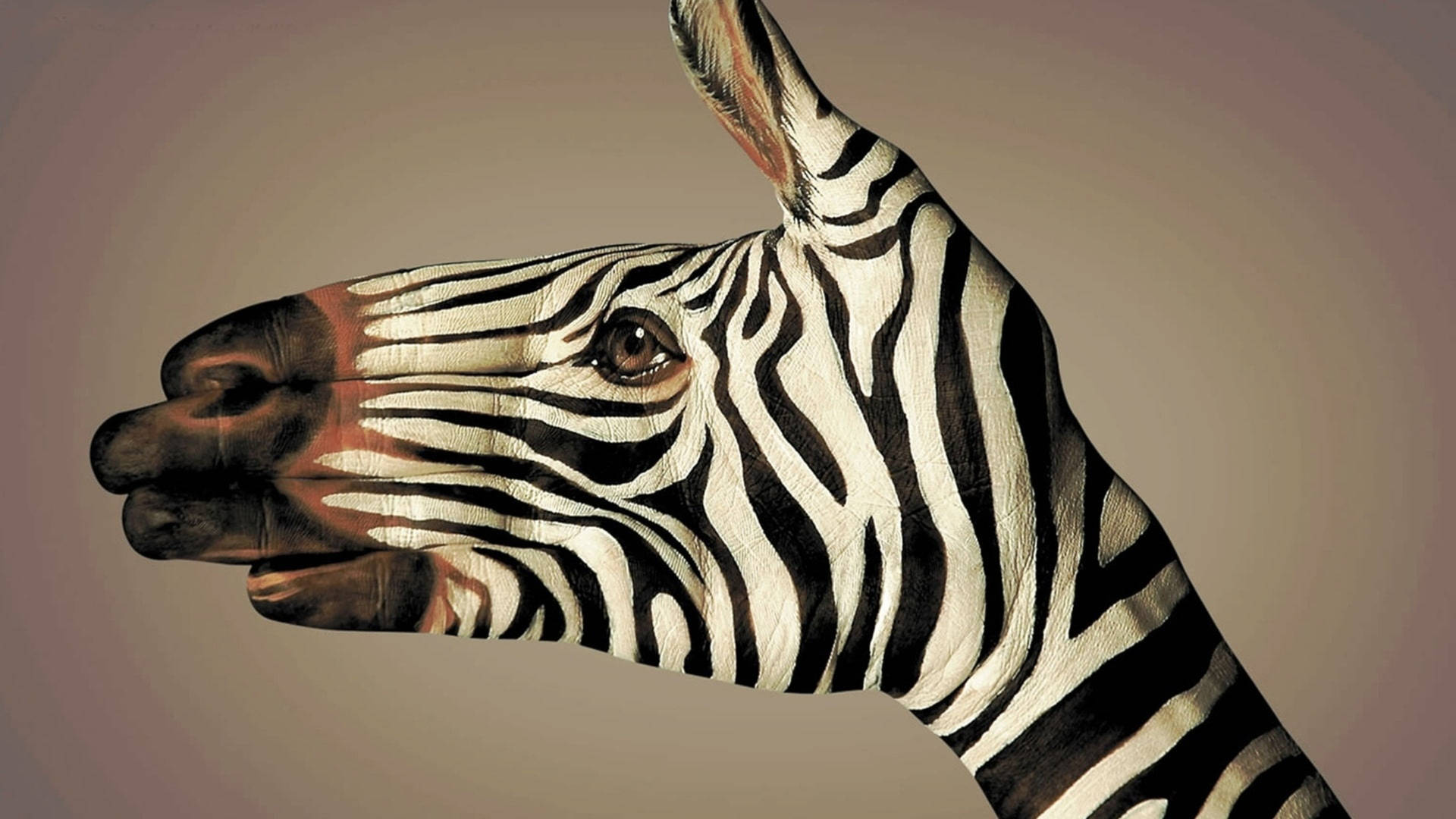 Zebra Hand Painting Background