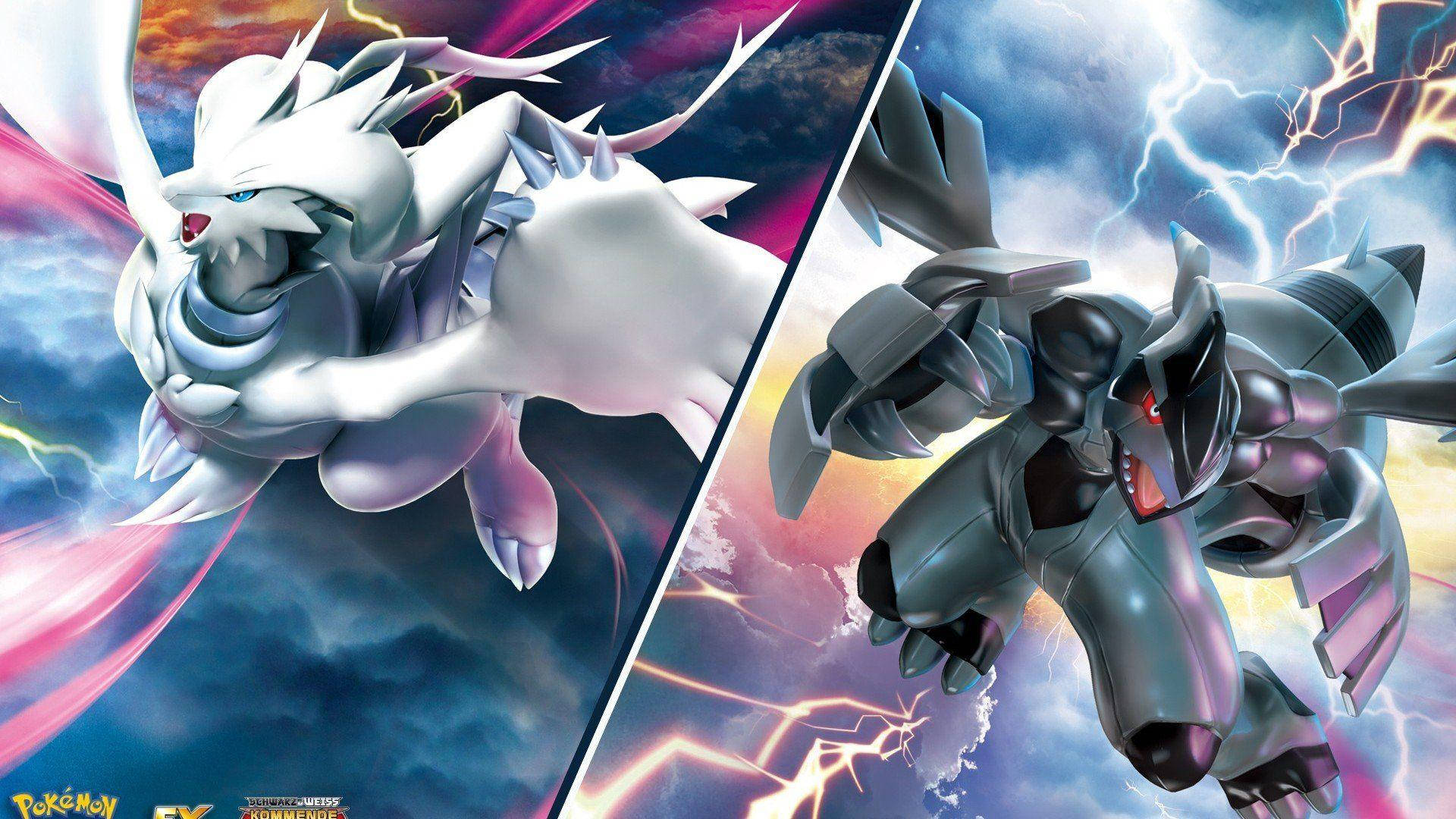 Zekrom And Reshiram Flying Background