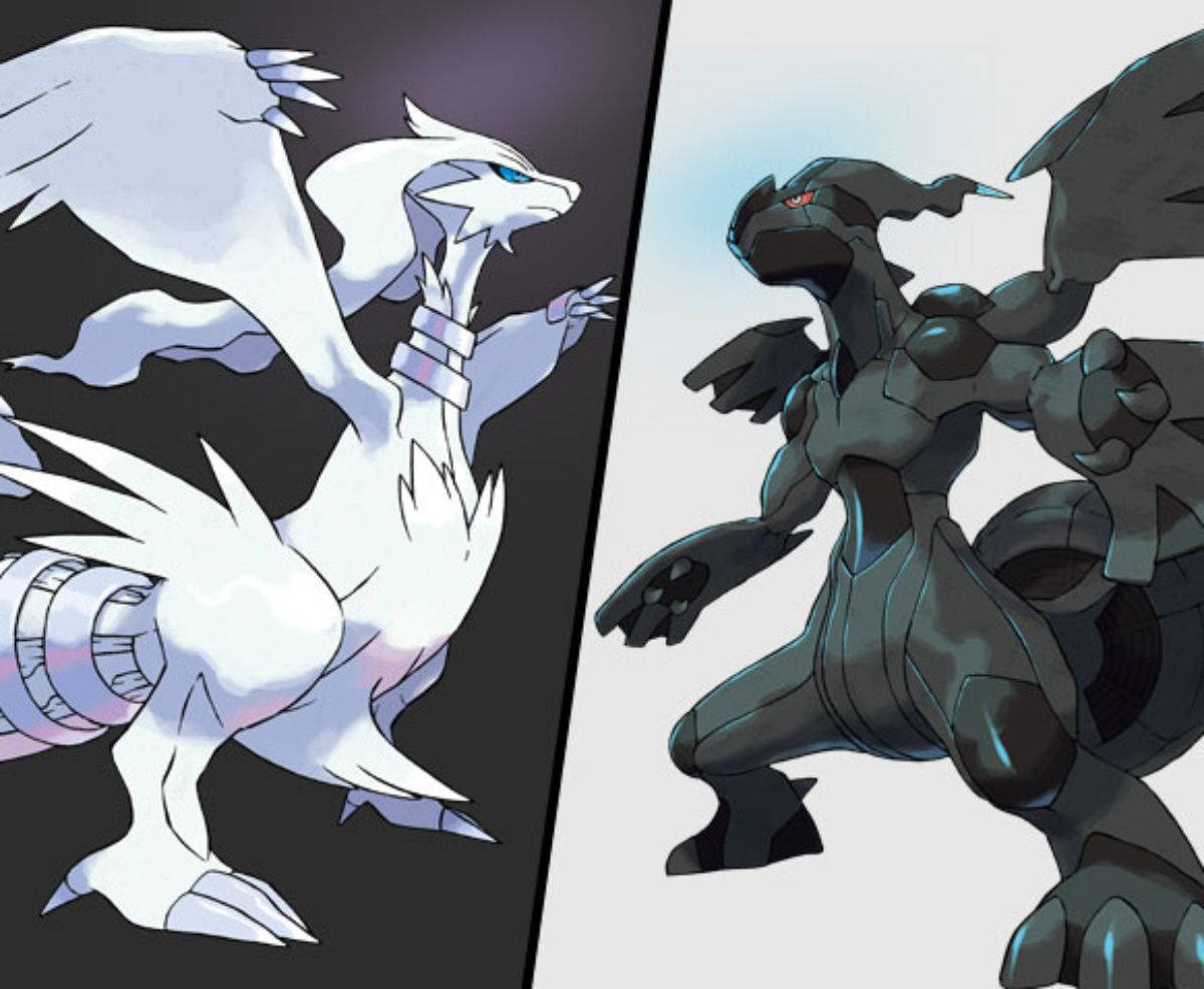 Zekrom And Reshiram Game Appearance Background