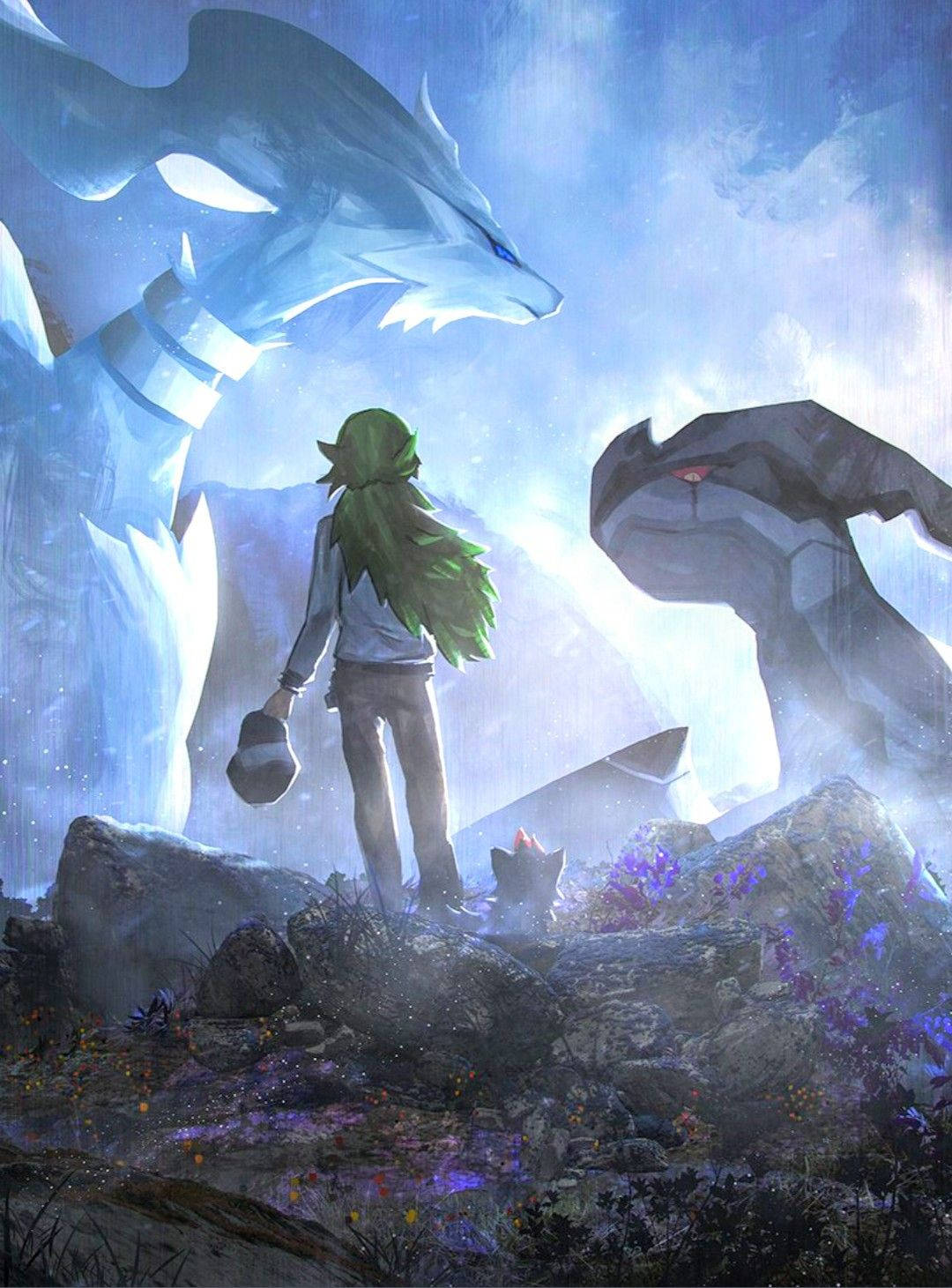 Zekrom And Reshiram On Cliff Background