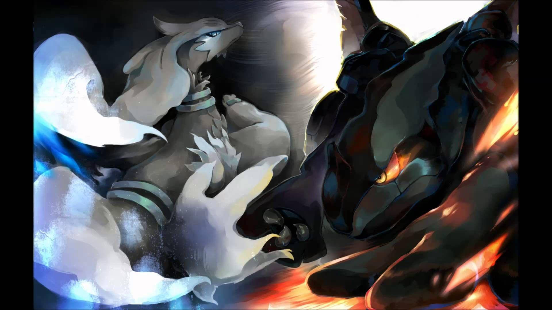 Zekrom And Reshiram Rivalry Background