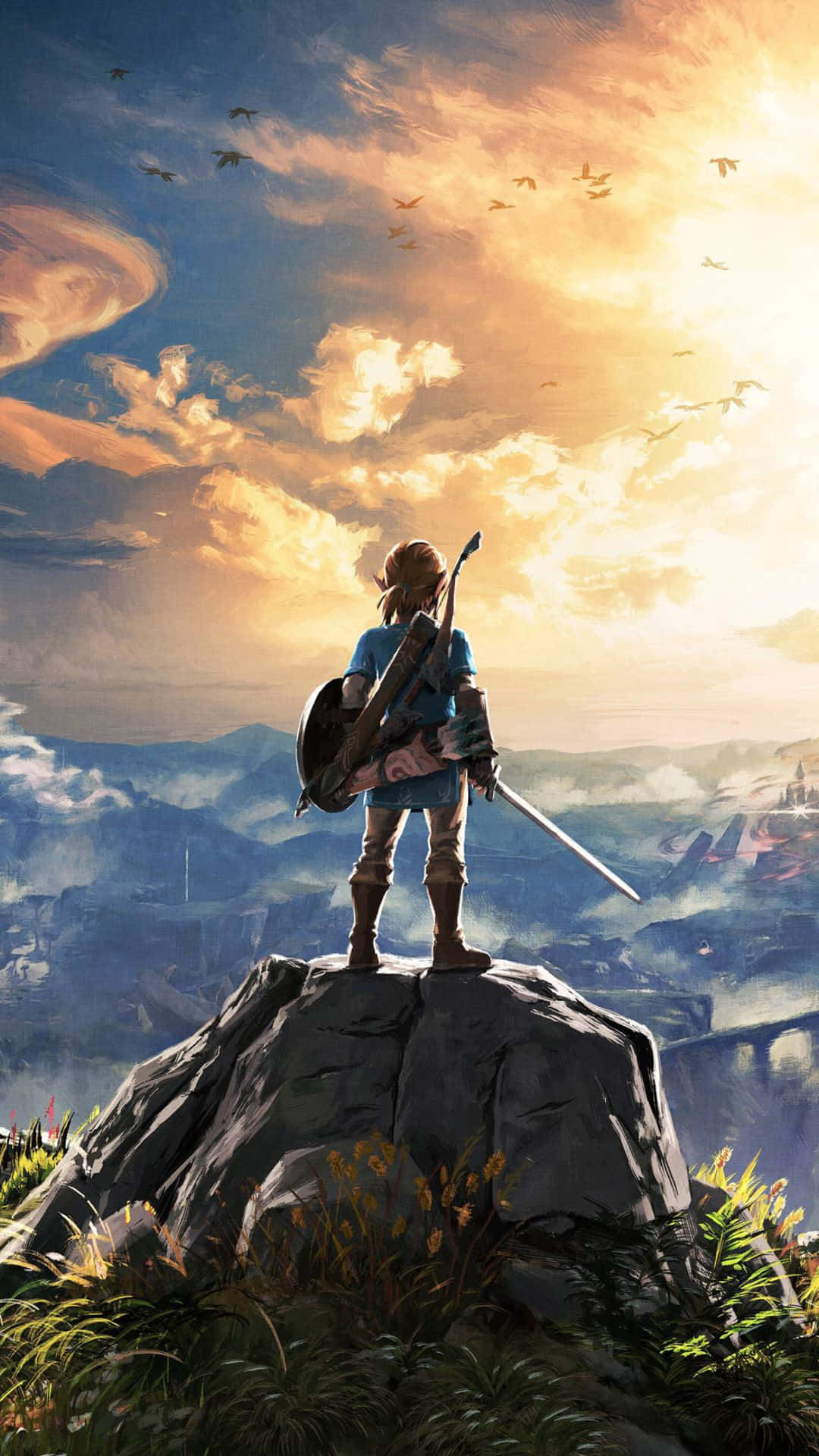 Zelda Botw Link Standing On A Rock Background