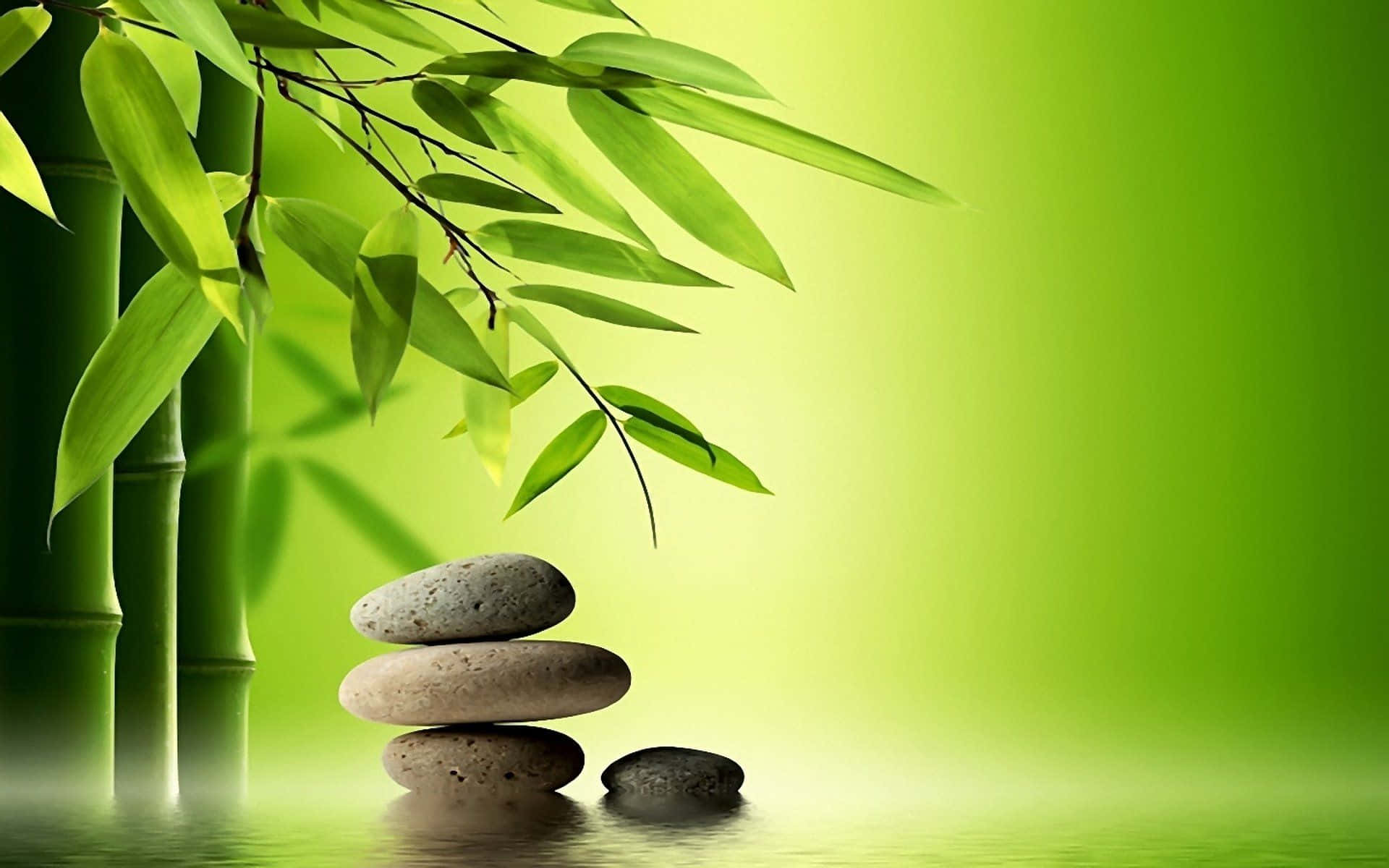Zen Desktop Stone Stack With Bamboo Plants