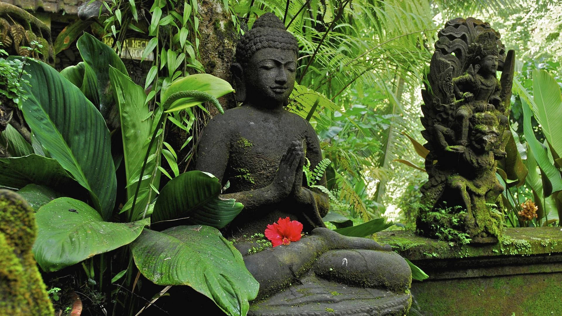 Zen Garden Buddha Hd Background
