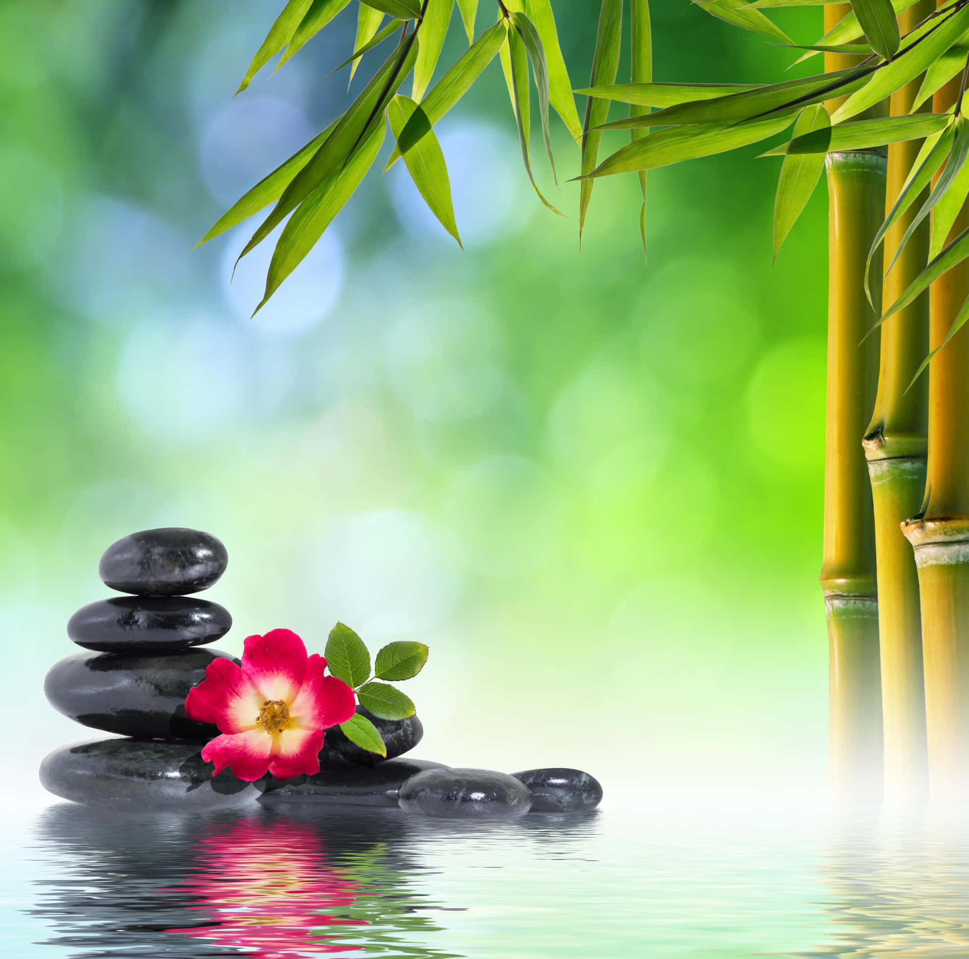 Zen Spa Bambooand Stones Background