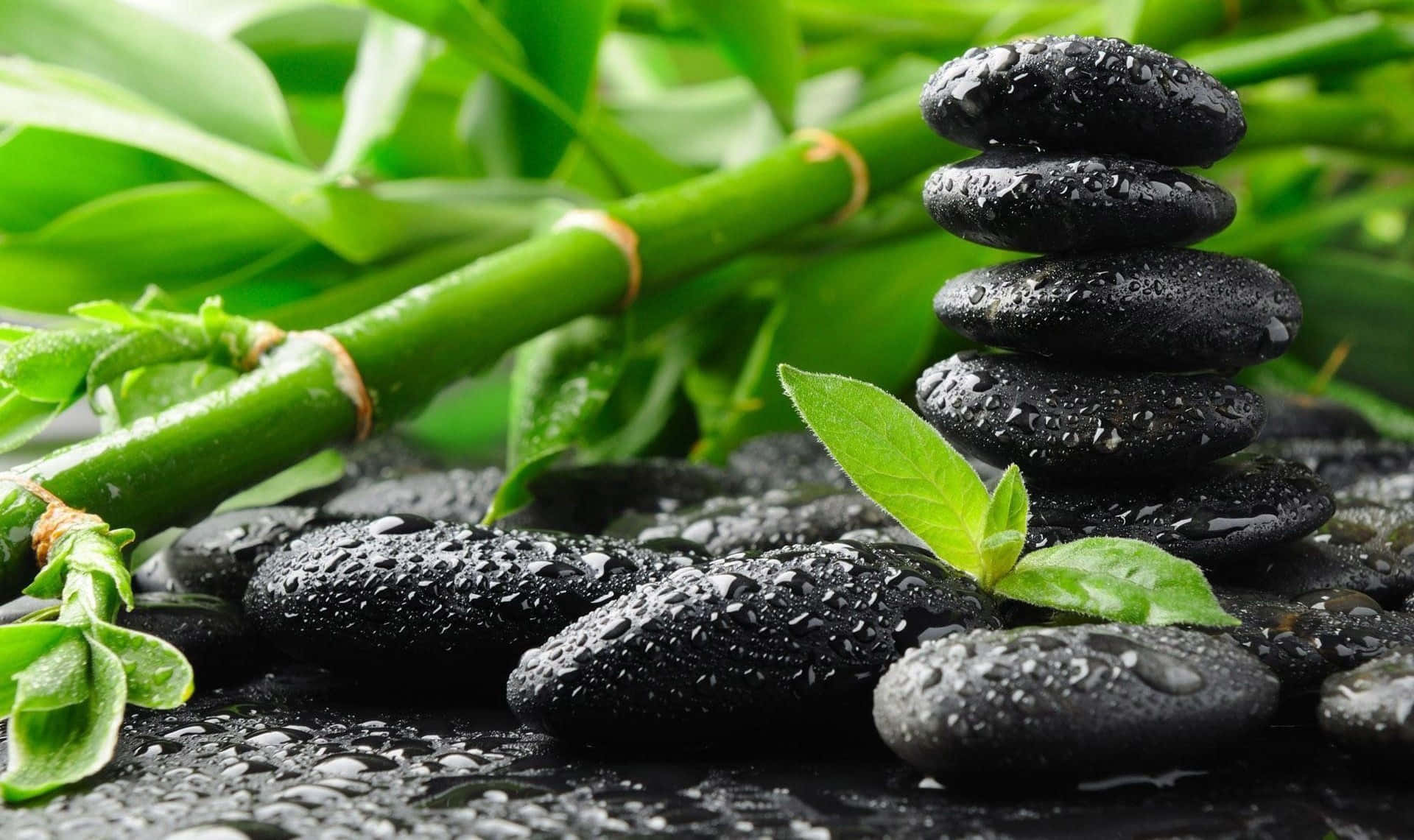 Zen Spa Bambooand Stones Background