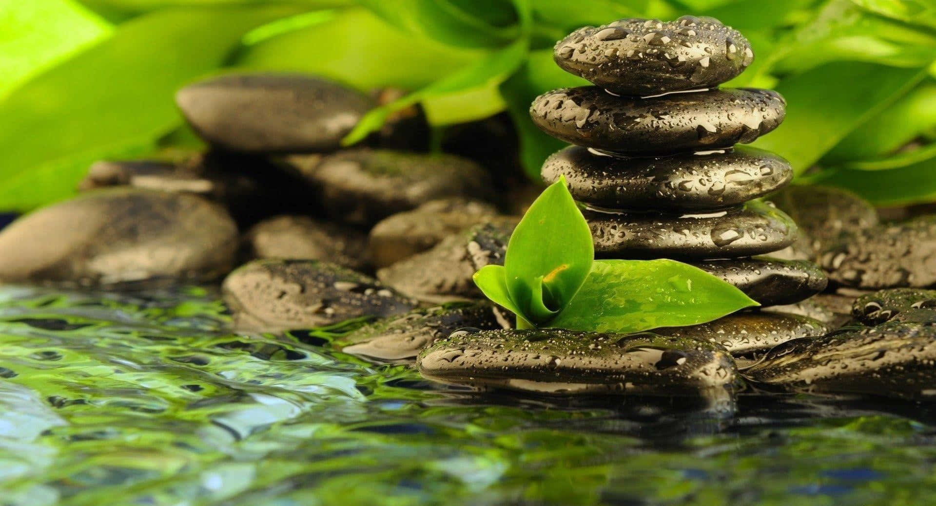 Zen Spa Stones Green Leaves Water Background