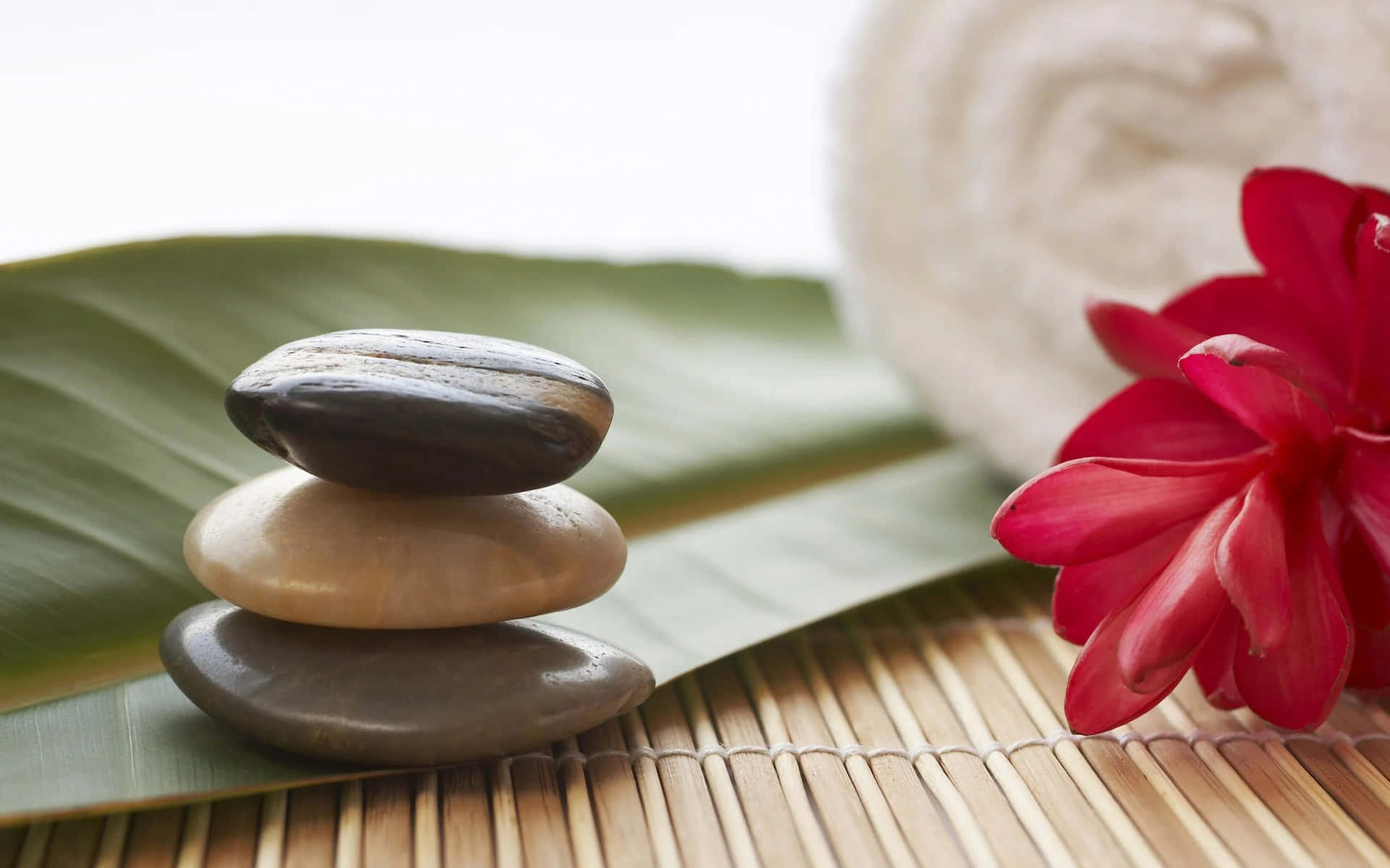 Zen Spa Wellness Concept