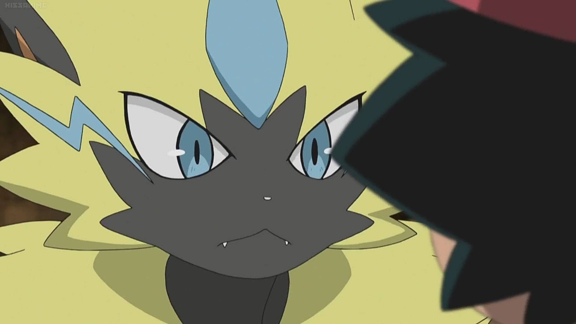 Zeraora Looking At Ash Background