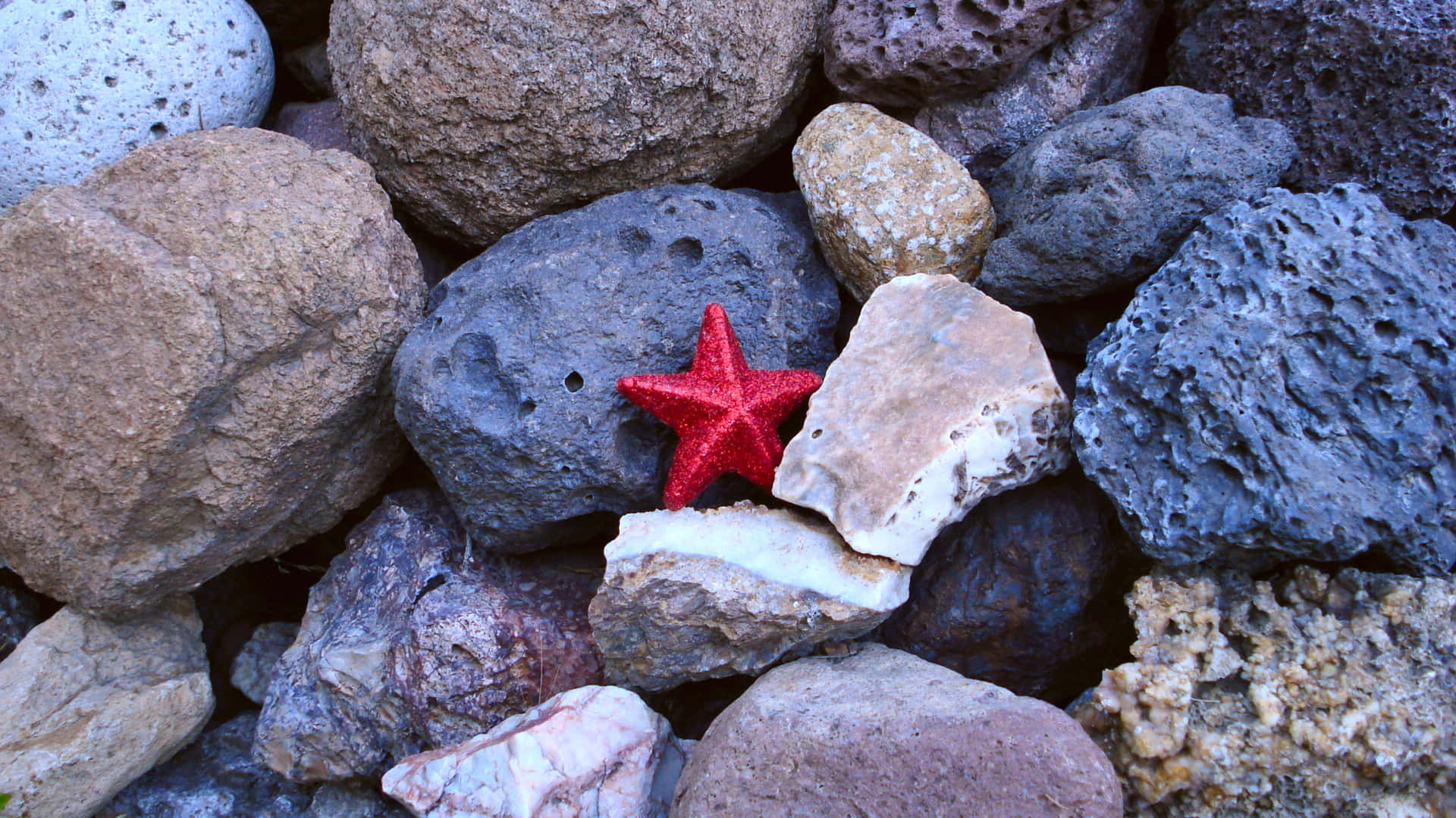 Zesty Red Starfish Background