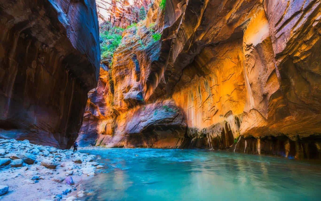 Zion Narrows River Canyon Walk