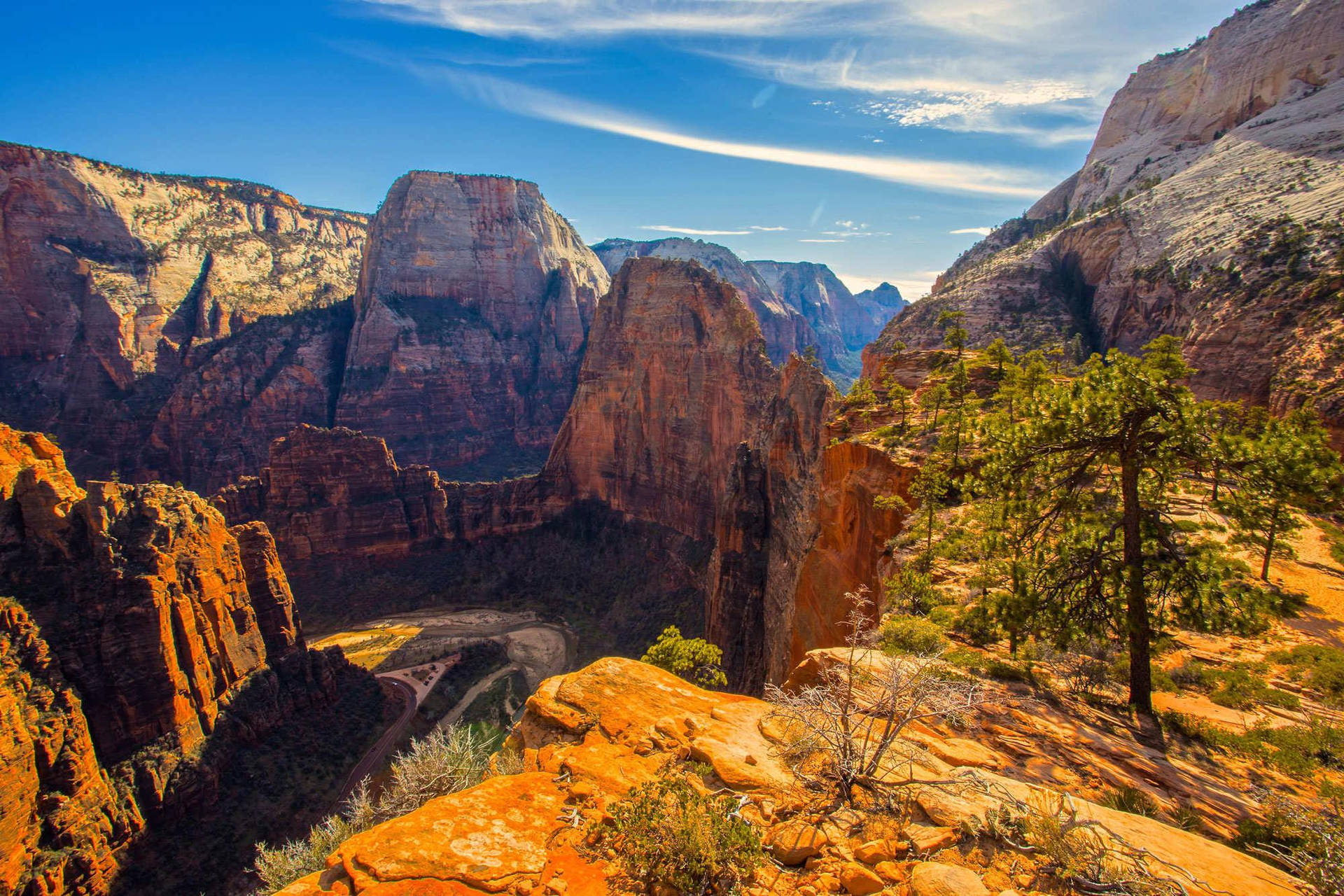 Zion National Park During The Summer Background