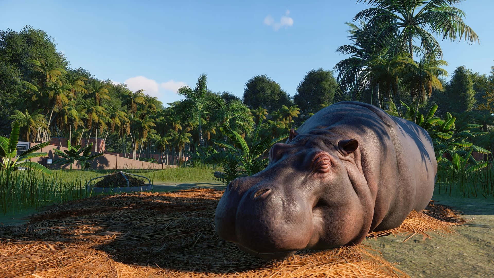 Zoo With A Sleeping Hippopotamus Background