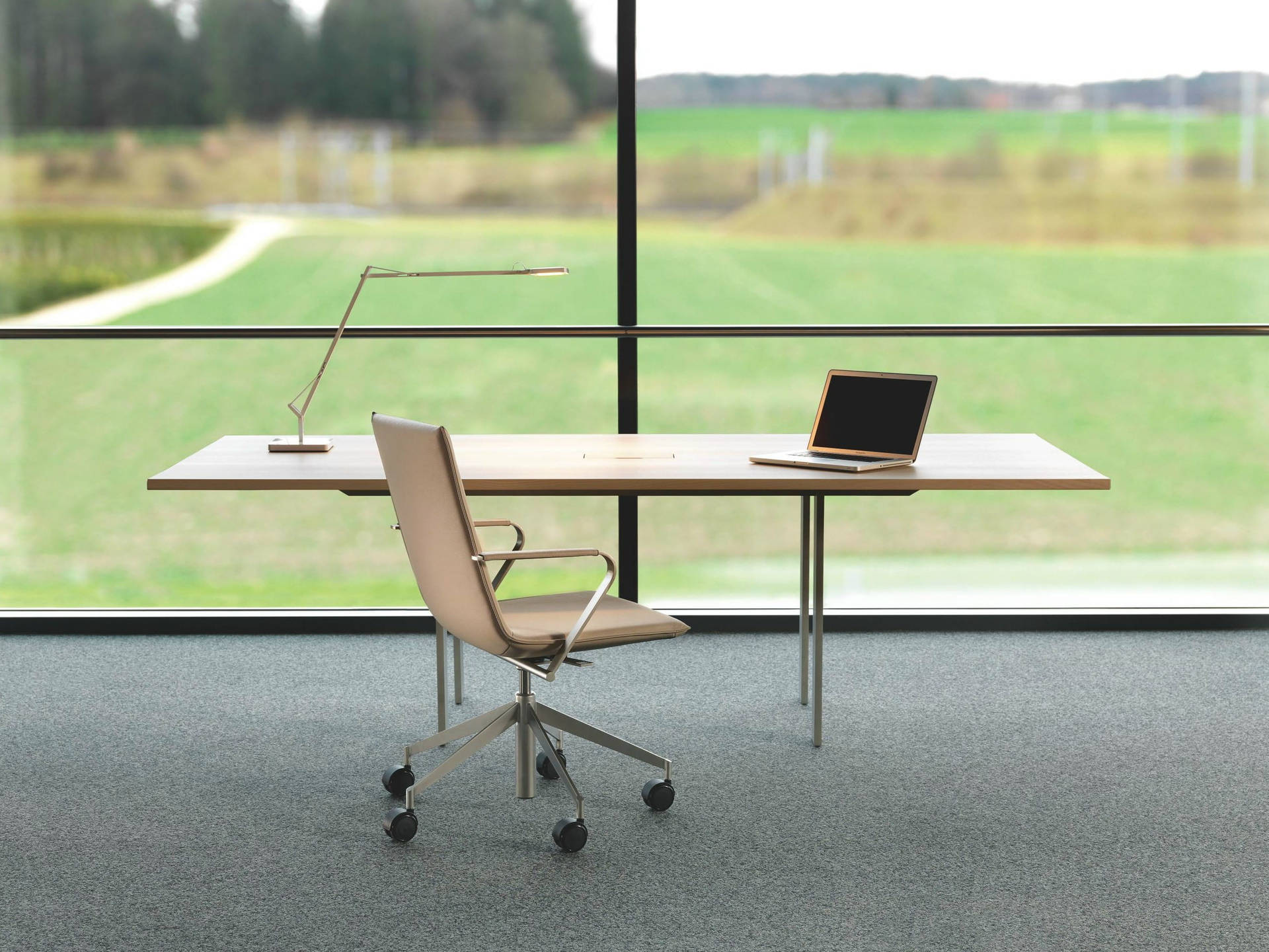 Zoom Background Office With Glass Wall