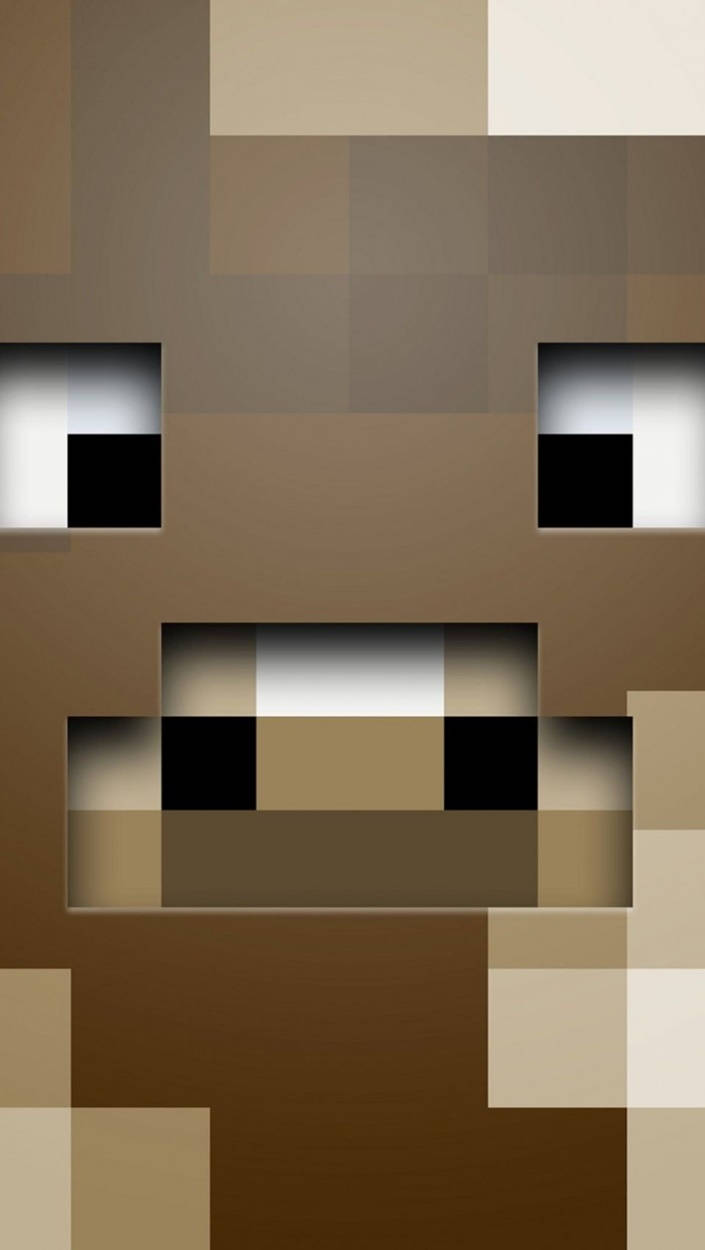 Zoom Steve Face Minecraft Iphone Background