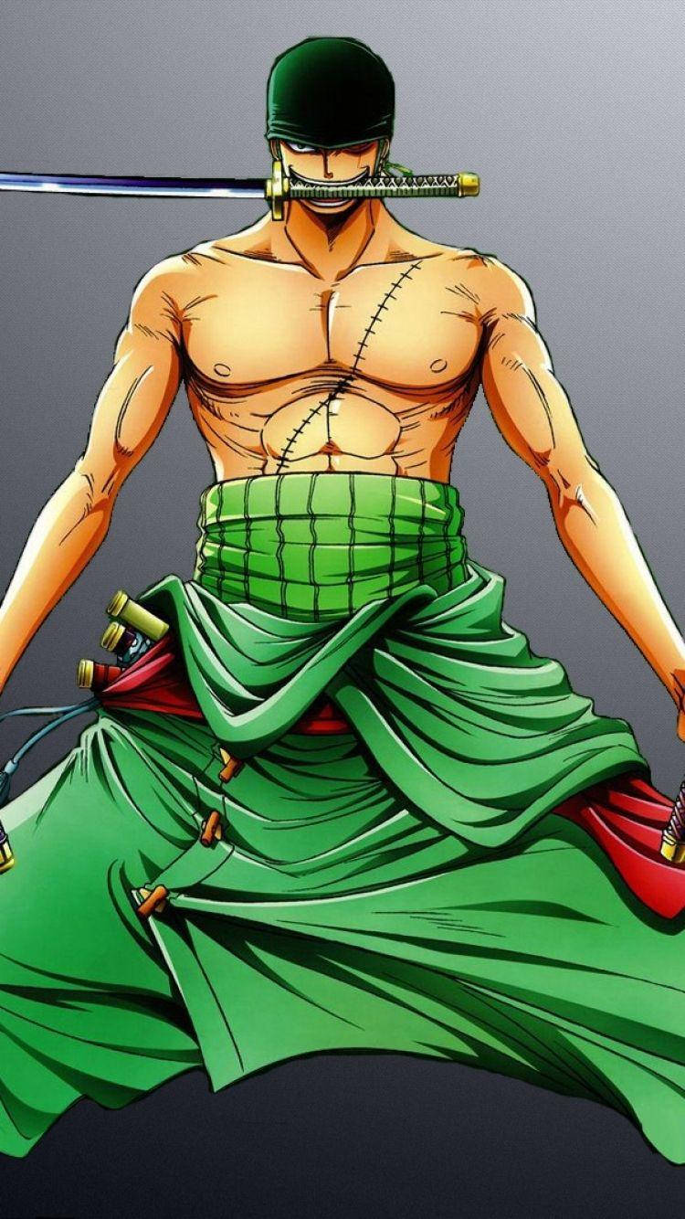 Zoro Hd Full Body Shot Background