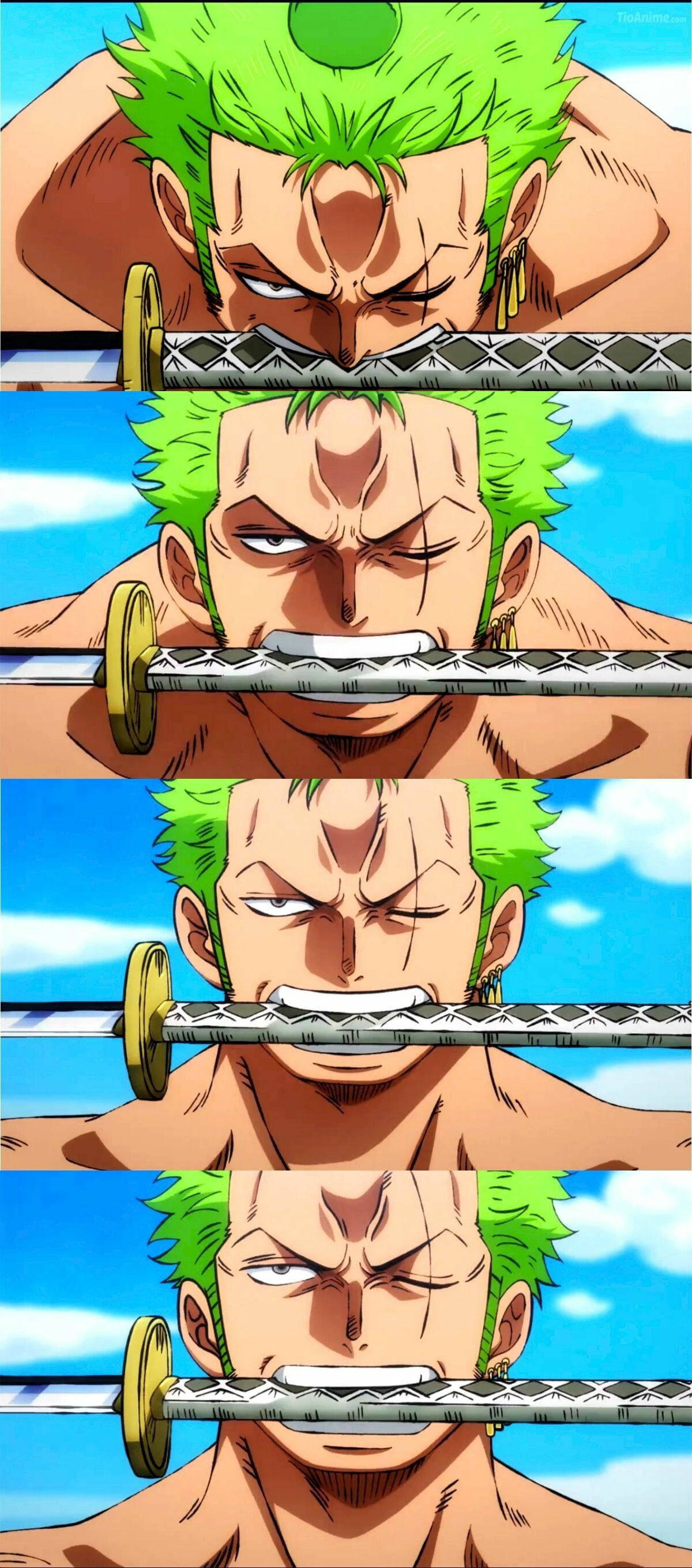 Zoro Pfp With Sword Anime Collage