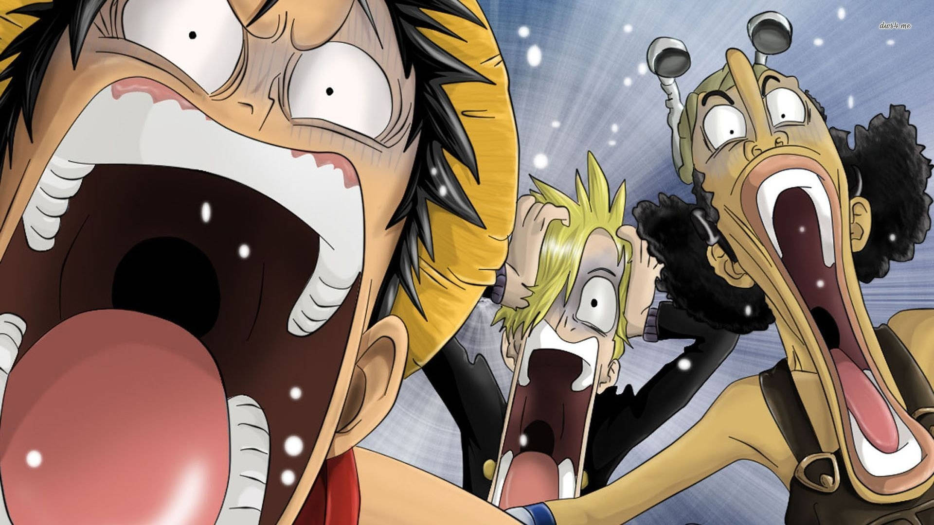 Zoro, Usopp And Luffy Funny Scene Background