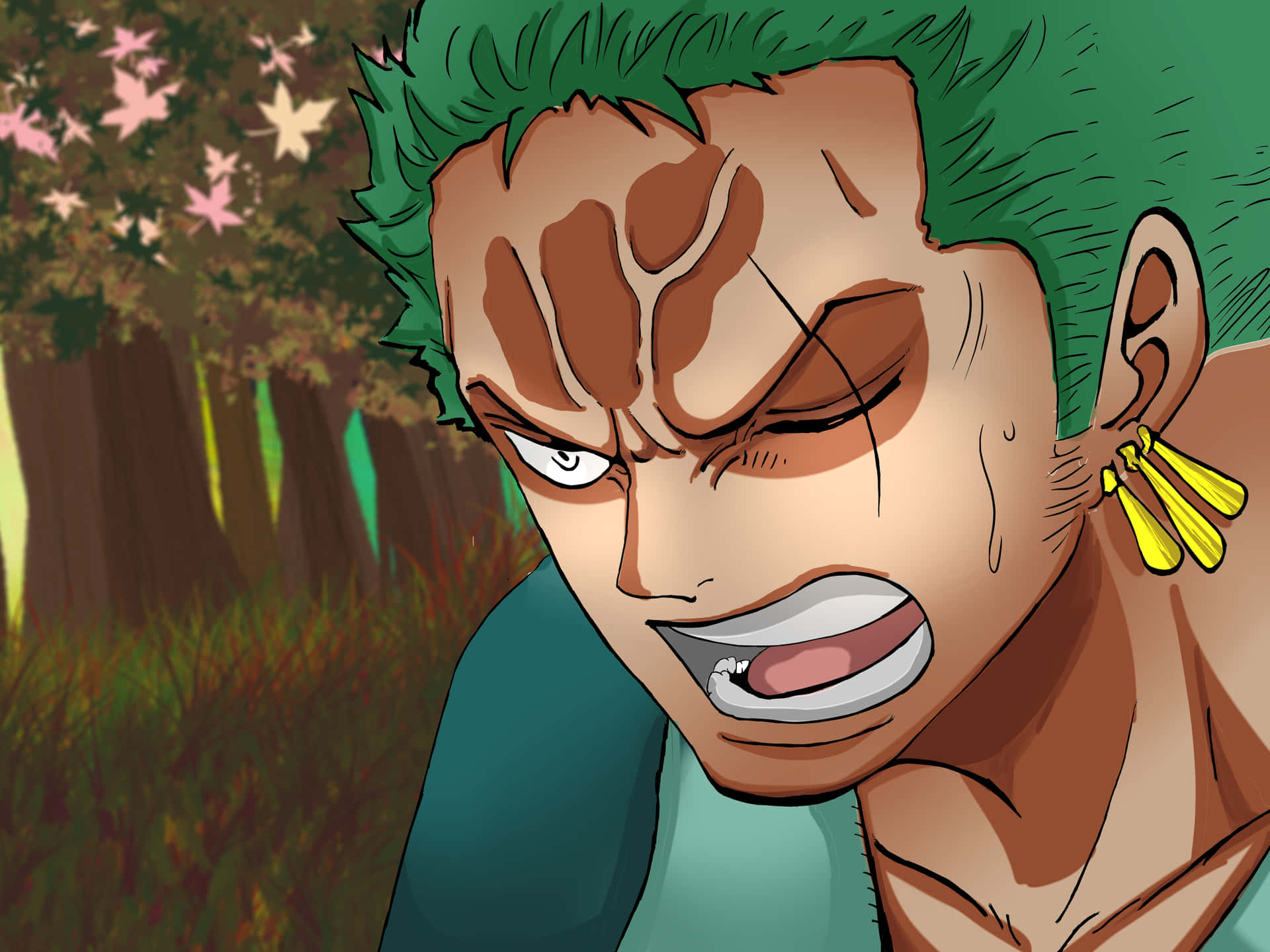 Zoro Wano Hurting Background