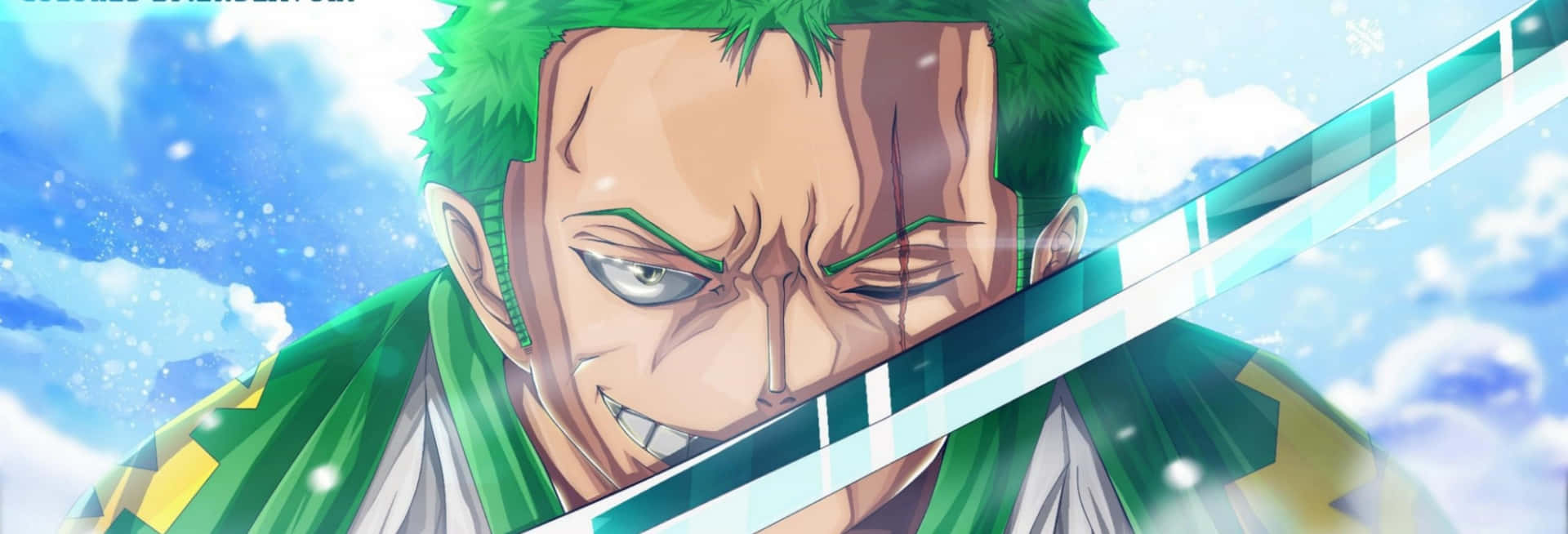 Zoro Wano Shiny Sword Background