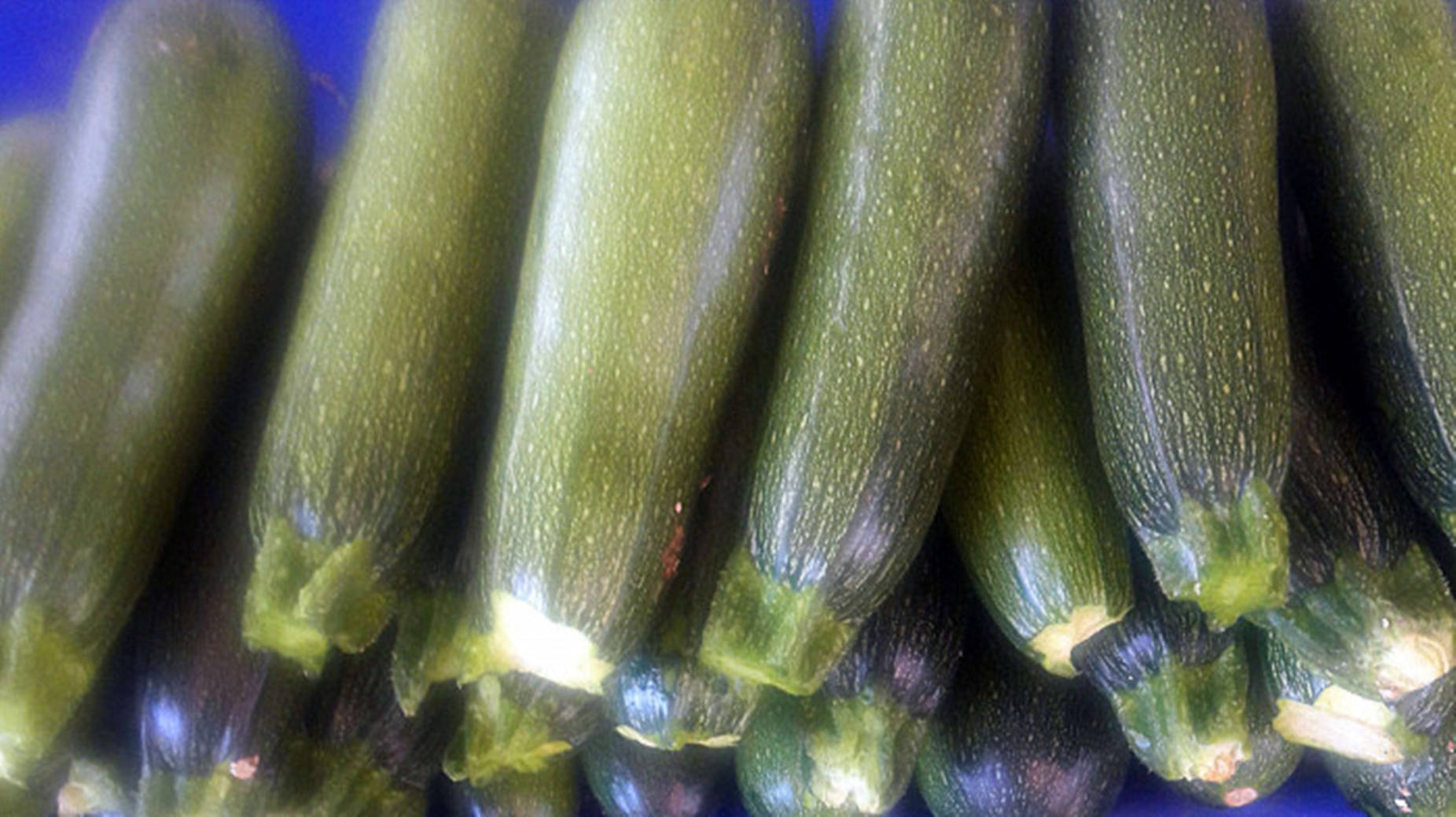 Zucchini Baby Marrow Variety Background