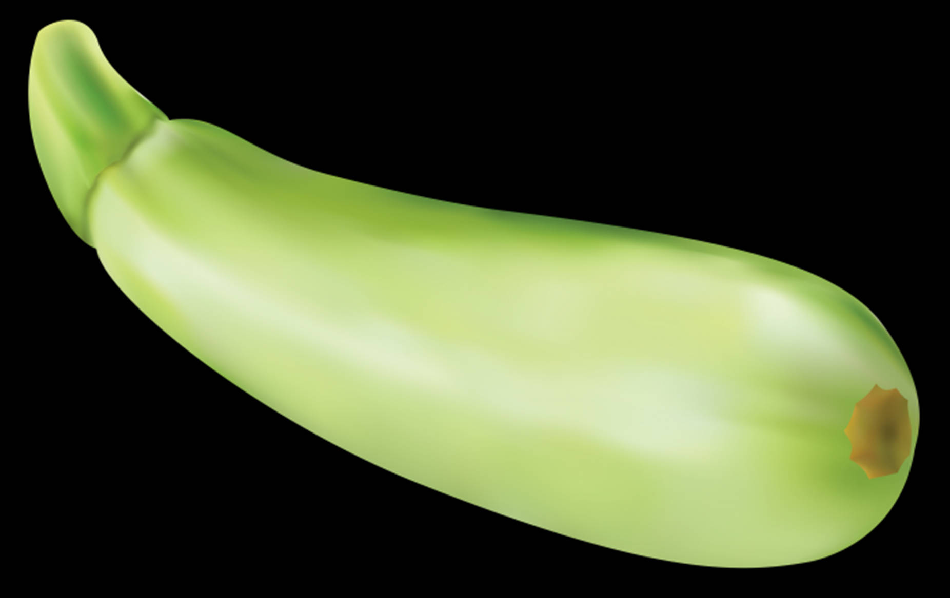 Zucchini Courgette English Variety Background