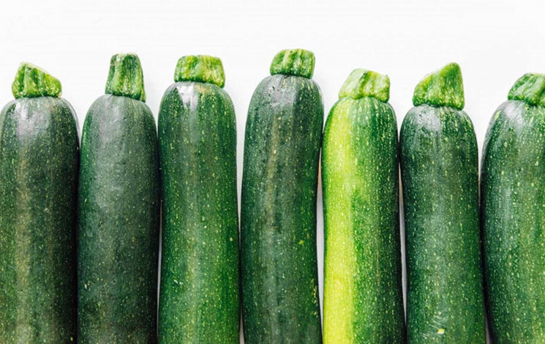 Zucchini Dunja Vegetable Variety Background