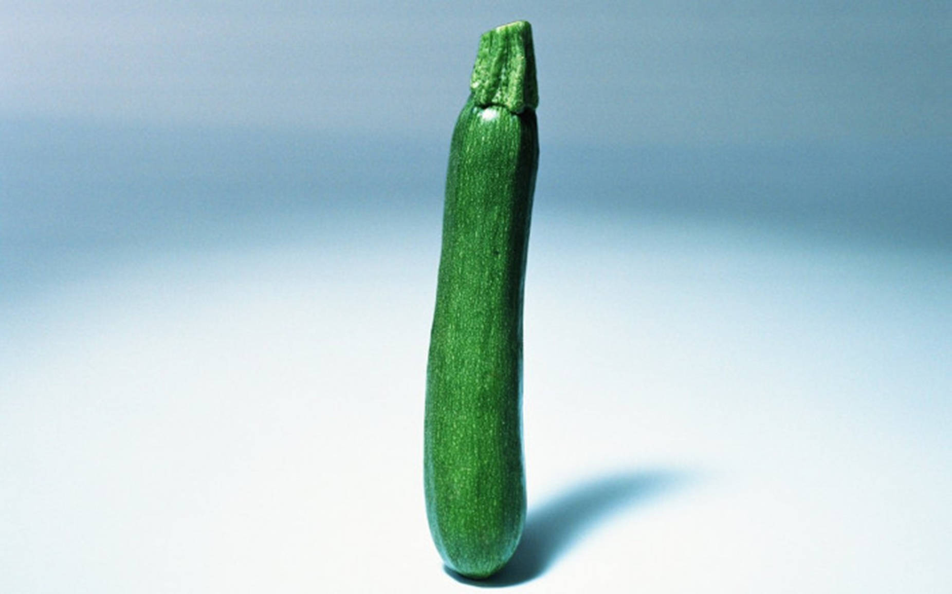 Zucchini Flowering Vegetable