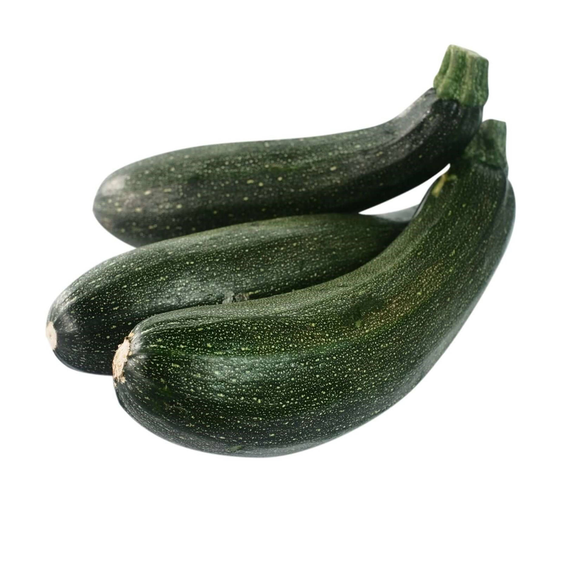 Zucchini Flowering Vegetable Plant