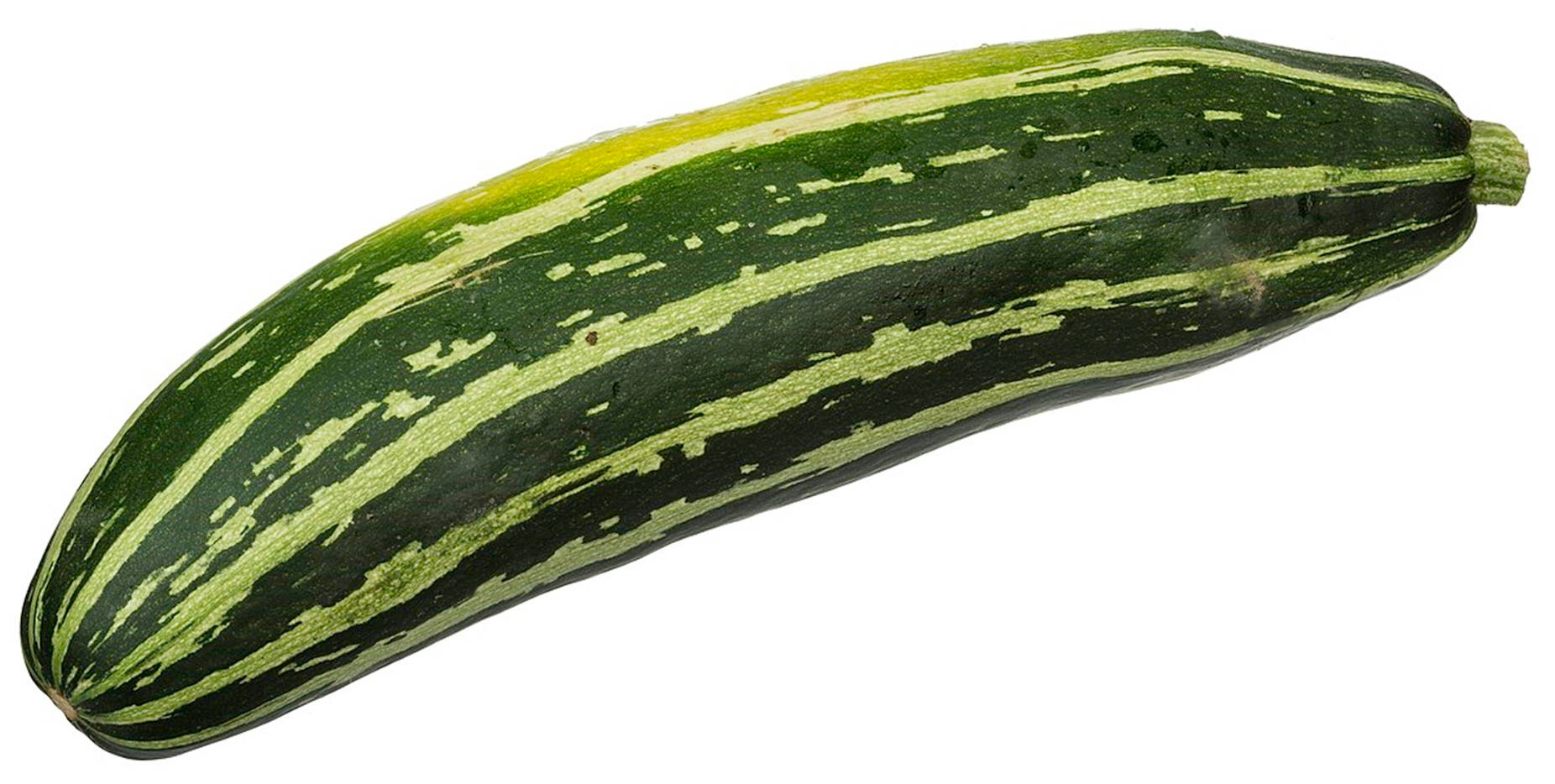 Zucchini Stripped Vegetable Variety