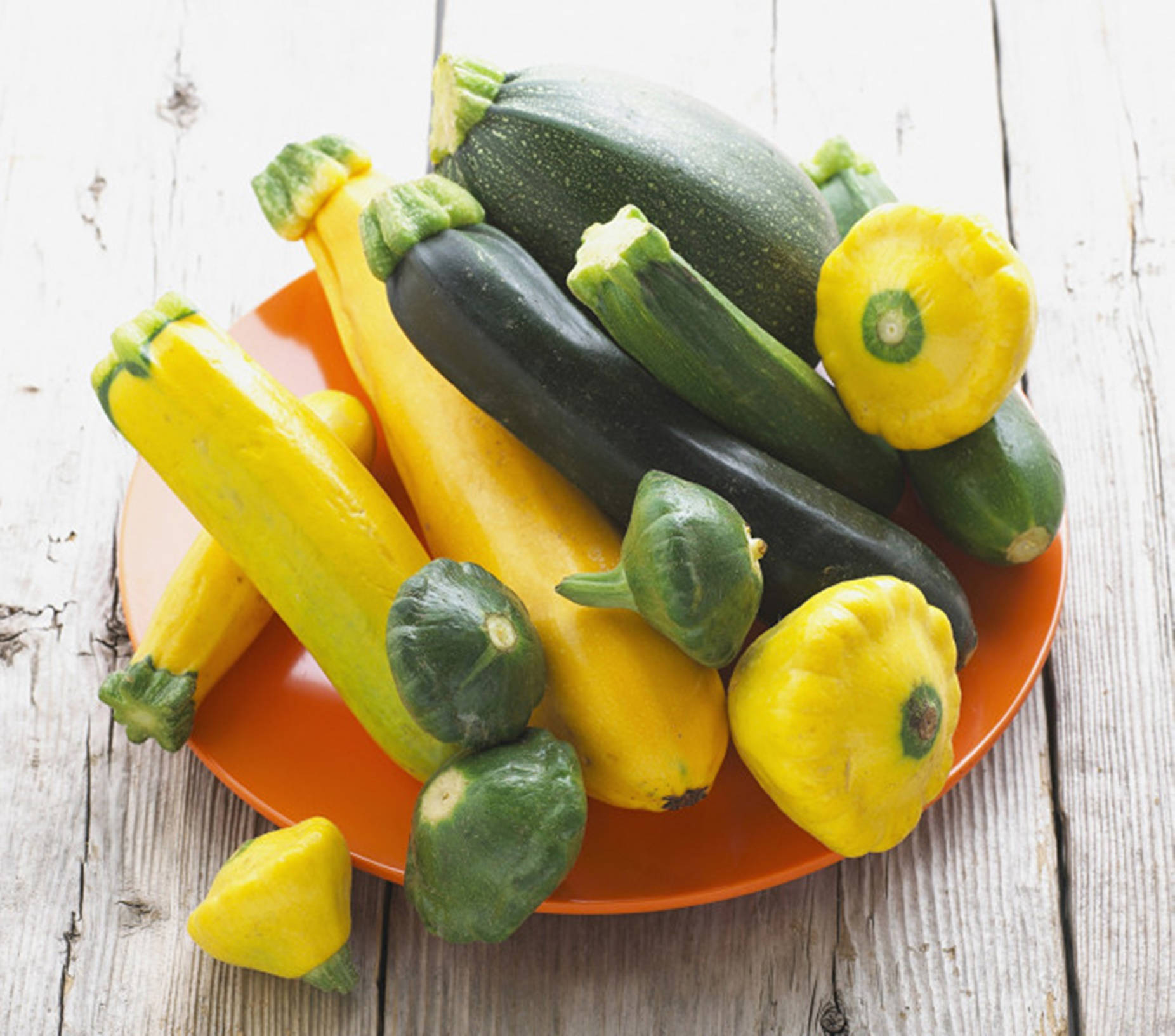 Zucchini Yellow Summer Squash Variety