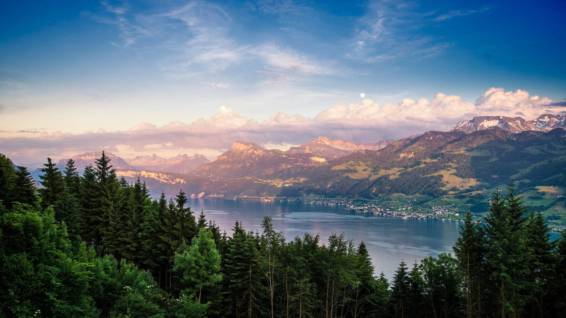 Zurich Forest Lake Background